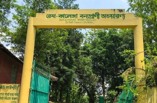Remma Kalenga Reserved Forest