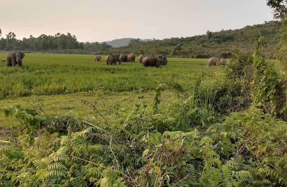 গোপালপুর গারো পাহাড়, দূর্গাপুর