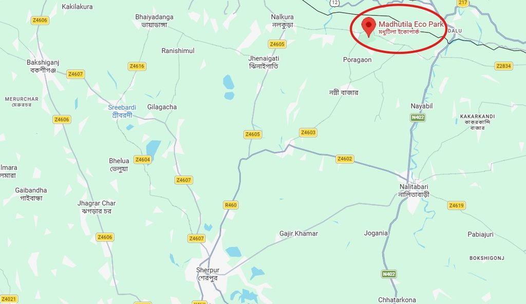 মধুটিলা ইকোপার্ক কোথায় অবস্থিত রিভিউ