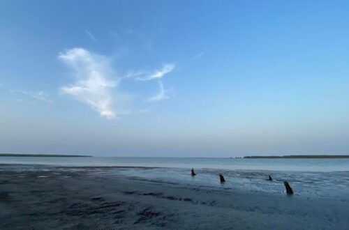 কচিখালী সমুদ্র সৈকত বাগেরহাট টুরিস্ট স্পট