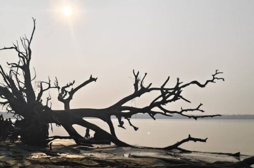 কটকা সমুদ্র সৈকত বাগেরহাট টুরিস্ট স্পট