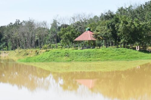 গজনী অবকাশ কেন্দ্র কোথায় অবস্থিত রিভিউ