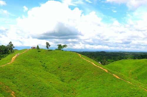রাজার পাহাড় ও বাবেলাকোনা শেরপুর টুরিস্ট স্পট