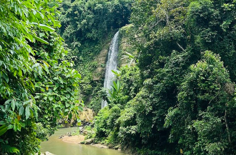 মাধবকুণ্ড জলপ্রপাত মৌলভীবাজার