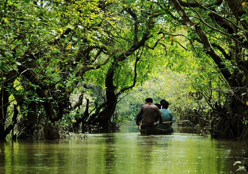 রাতারগুল সোয়াম্প ফরেস্ট, সিলেট