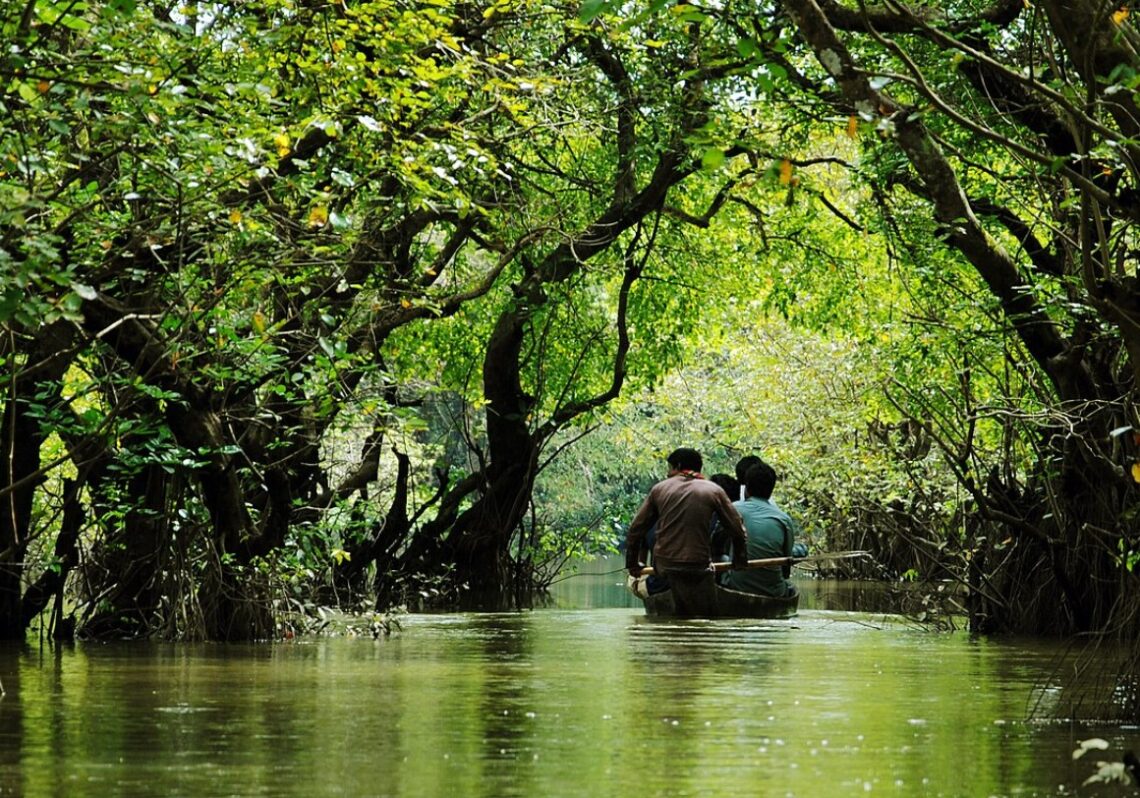 রাতারগুল সোয়াম্প ফরেস্ট, সিলেট