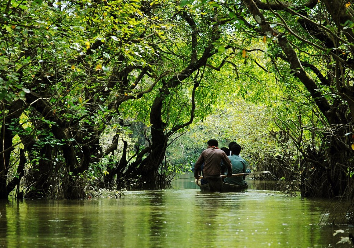 রাতারগুল সোয়াম্প ফরেস্ট, সিলেট