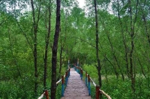 রূপসী ম্যানগ্রোভ পর্যটন কেন্দ্র সাতক্ষীরা টুরিস্ট স্পট