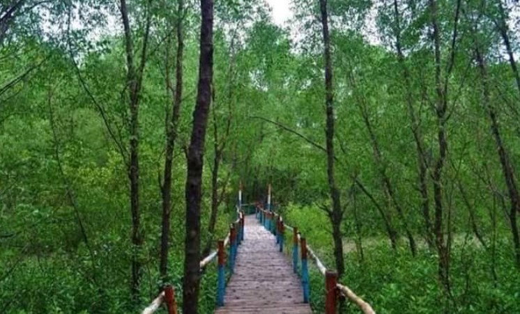 রূপসী ম্যানগ্রোভ পর্যটন কেন্দ্র সাতক্ষীরা টুরিস্ট স্পট